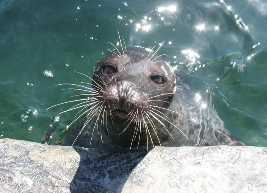 Photo of Tynemouth Aquarium