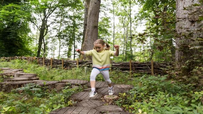 Creatures of the Night Trail at Wallington at North East event