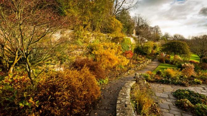 Little Leaf Collectors at Wallington at the event venue