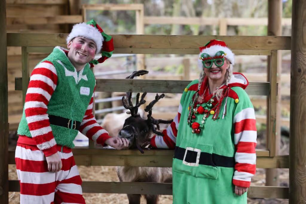 Santa's Enchanted Elf Journey 2026 at Whitehouse Farm Centre