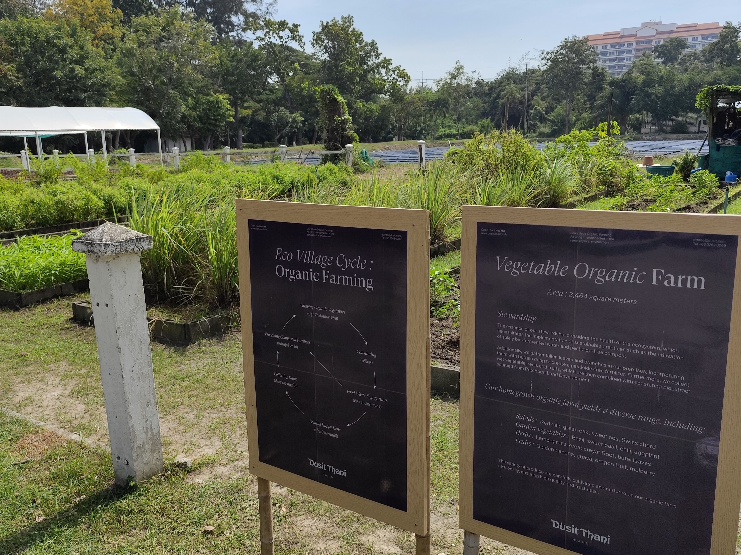 Organic Farm in the Dusit Thani Resort Hua Hin