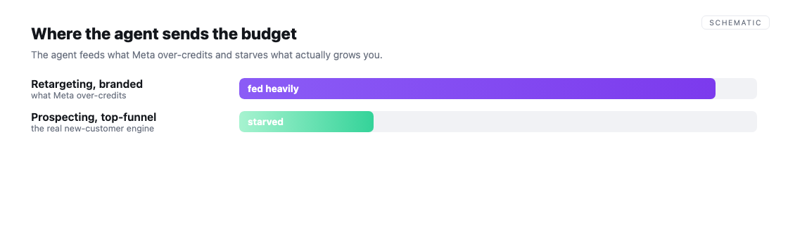 Where the agent sends the budget: it feeds what Meta over-credits and starves the real top-funnel.