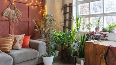 Bohemian interieur: vol karakter, zonder chaos