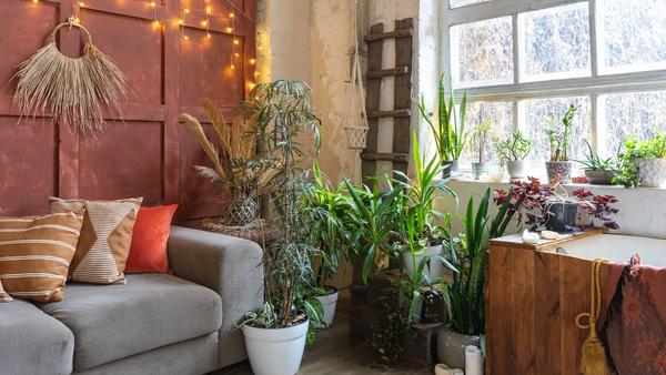 Bohemian interieur: vol karakter, zonder chaos