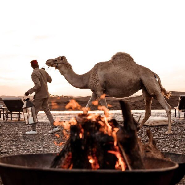 The White Camel, wedding venue in Agafay Desert, Marrakech