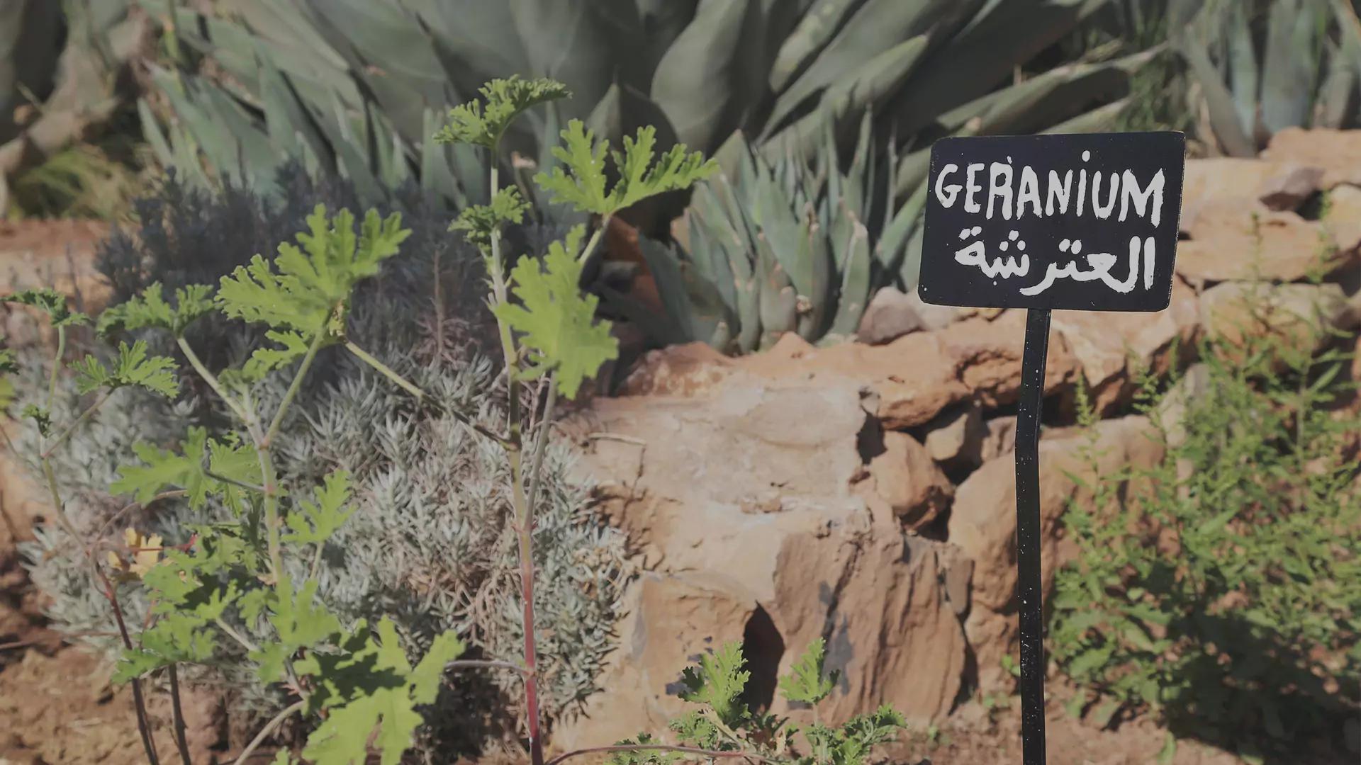 Fellah Hotel, wedding venue in Tassoultante, Route de l'Ourika