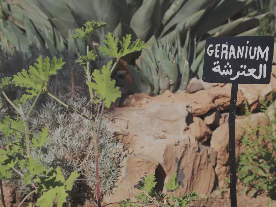 Fellah Hotel, wedding venue in Tassoultante, Route de l'Ourika