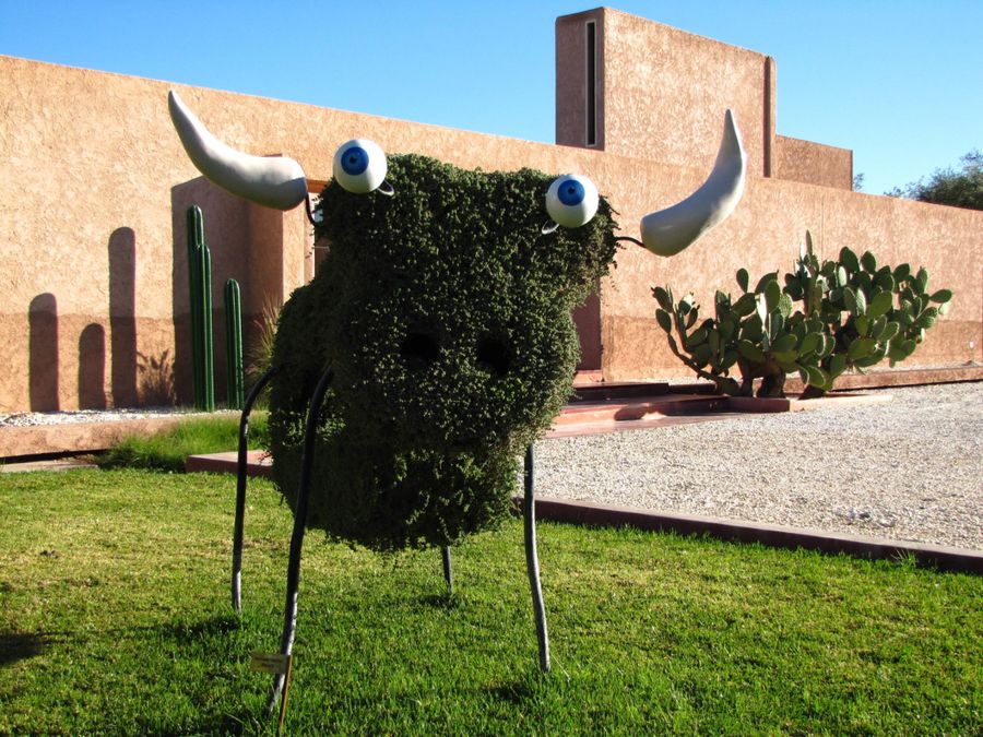 Dar Sabra, wedding venue in Palmeraie, Marrakech