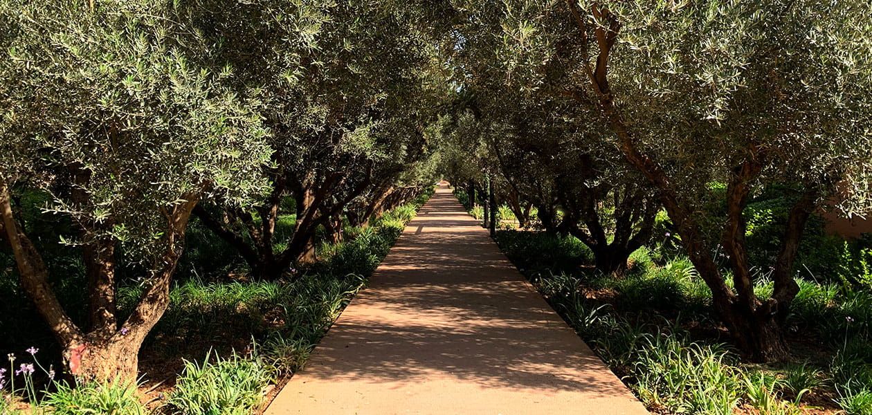 The Oberoi Marrakech, wedding venue in Marrakech, Morocco