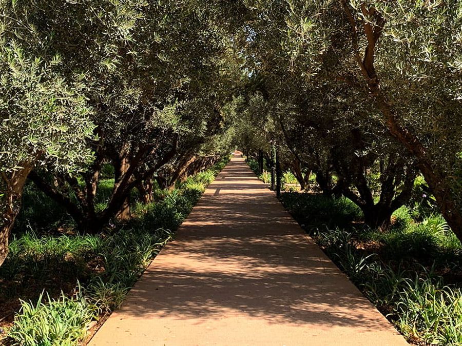 The Oberoi Marrakech, wedding venue in Marrakech, Morocco