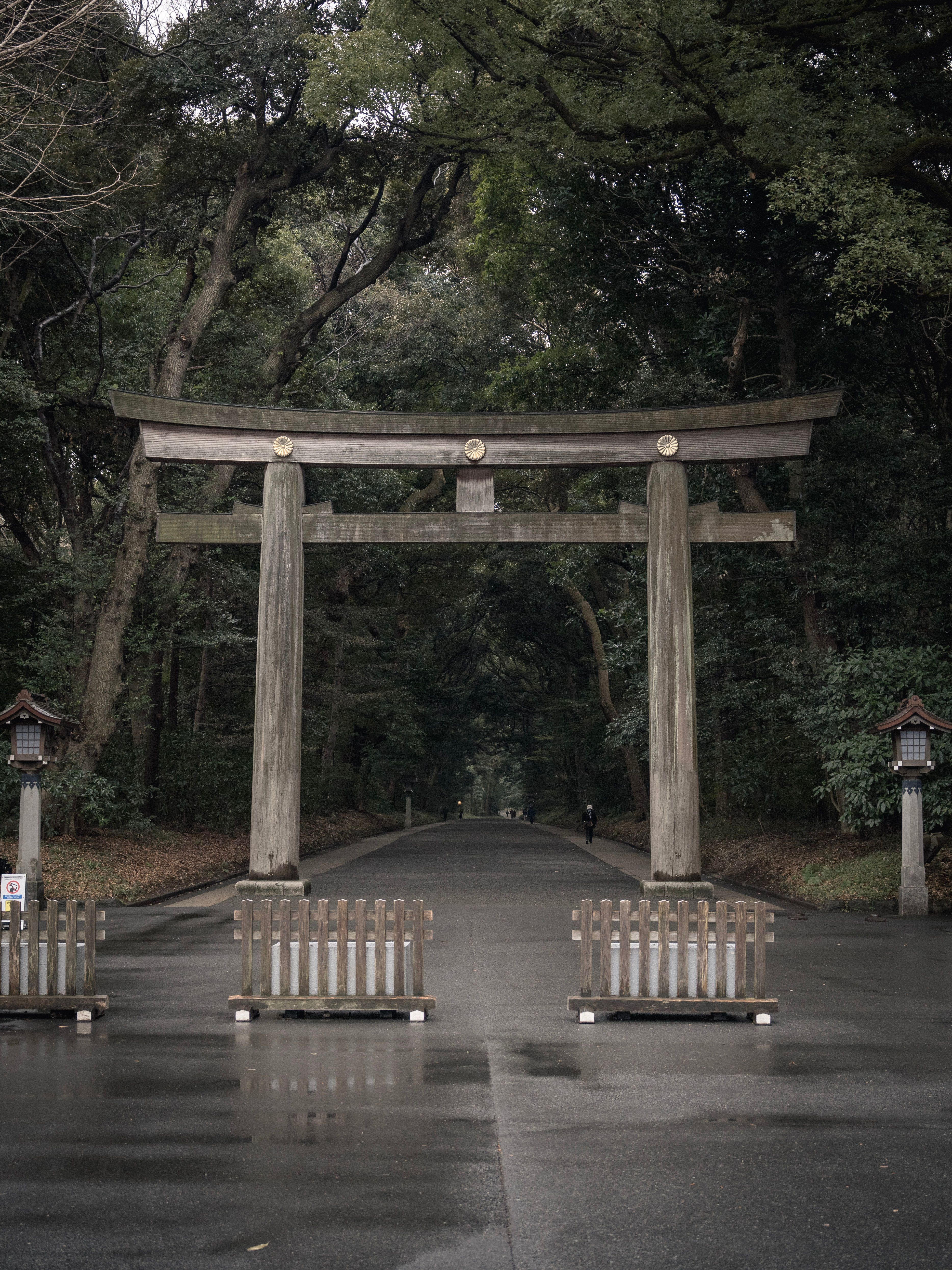 Meiji Shrine Ōtorii