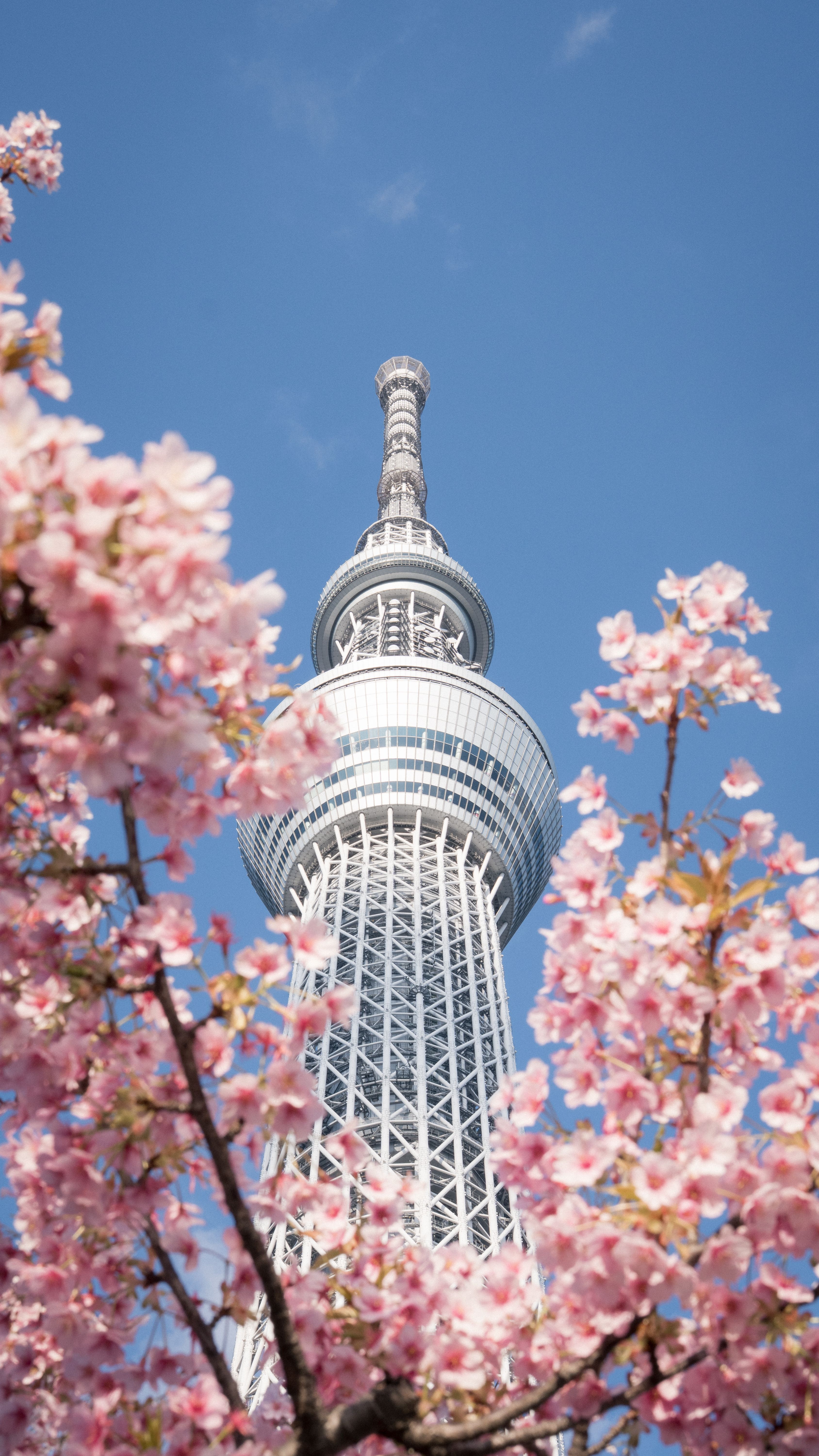 Skytree — Sumida city