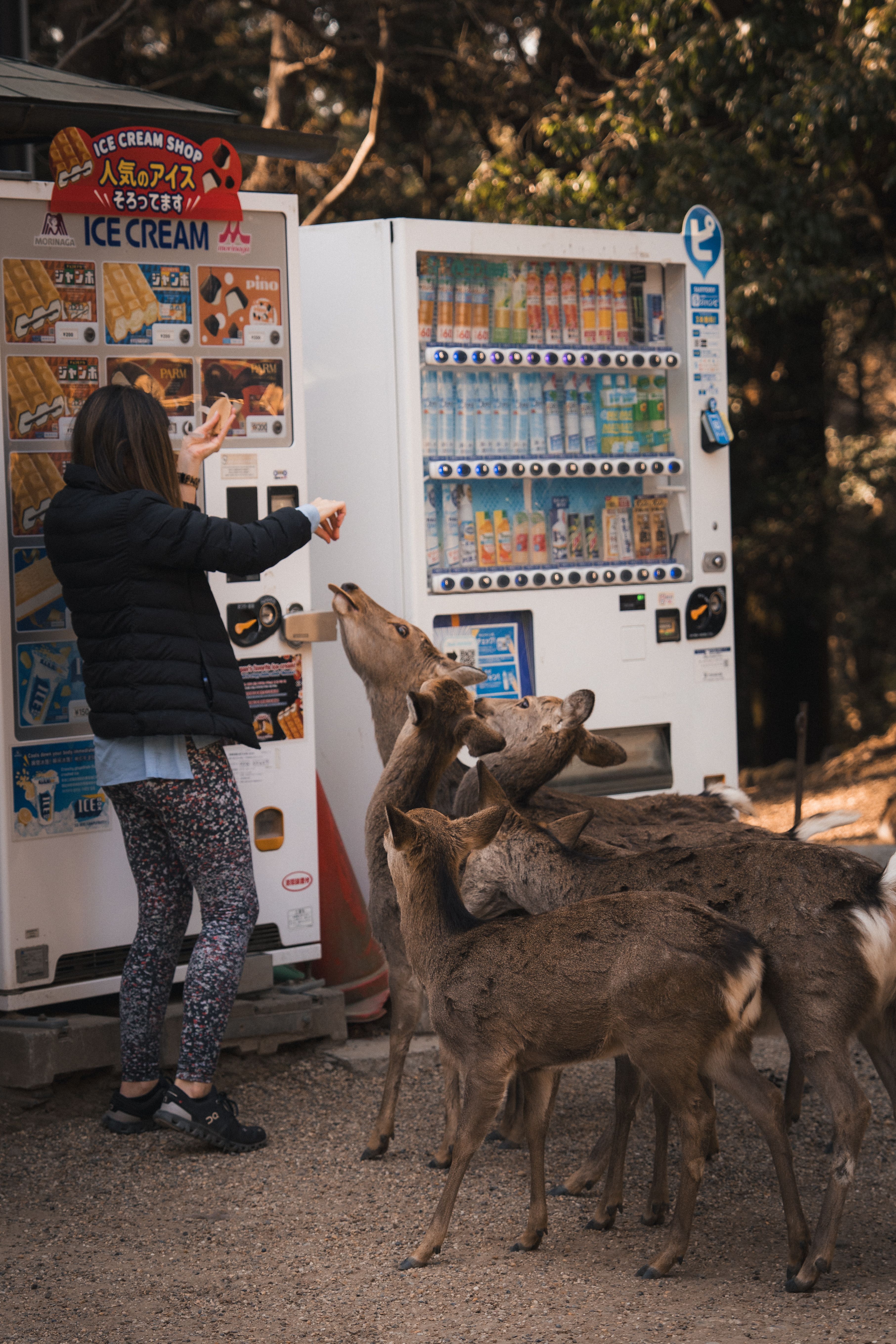 Shika Senbei — Special crackers sold exclusively to feed Nara's deer.
