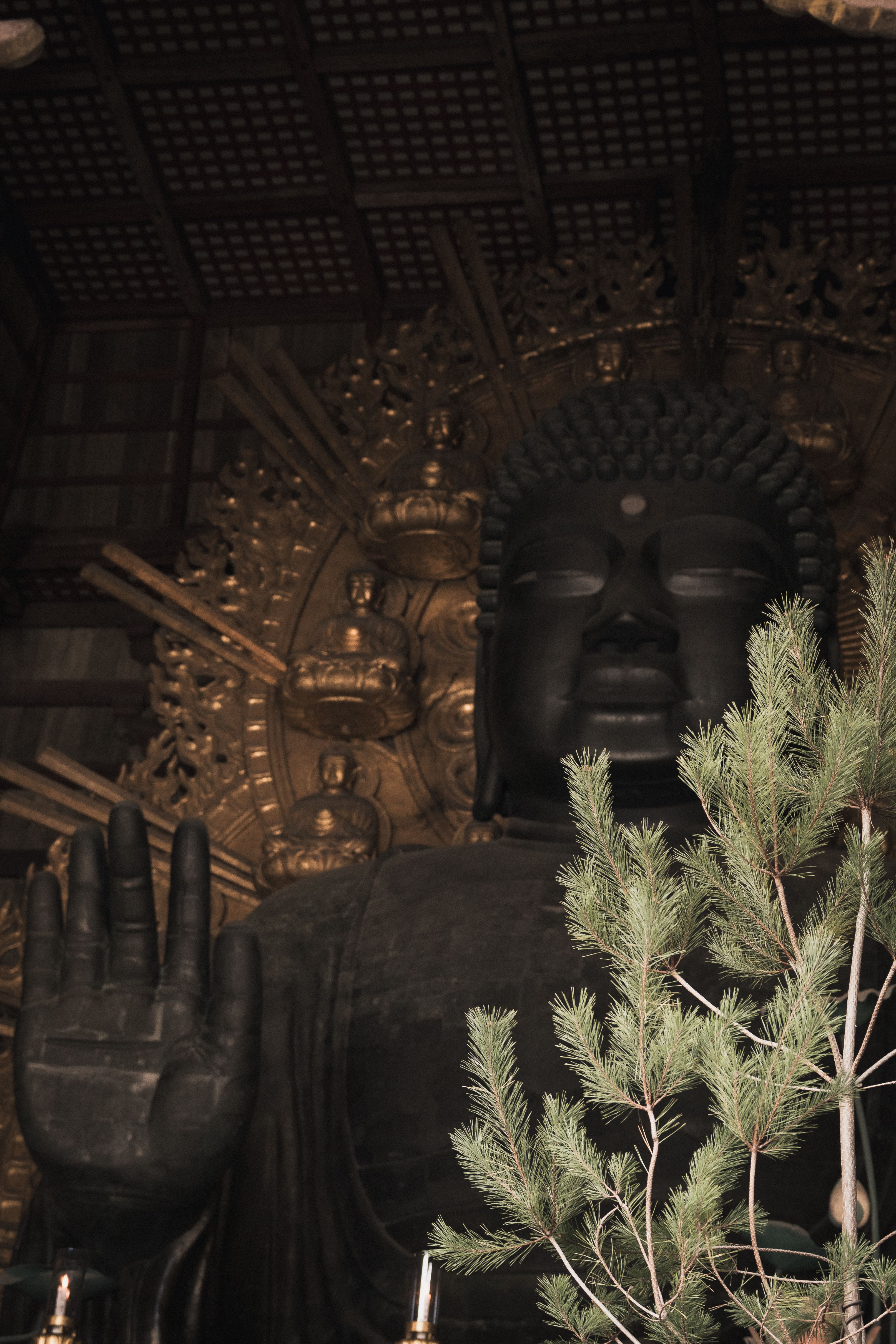 Abhaya Mudra — The gesture of fearlessness