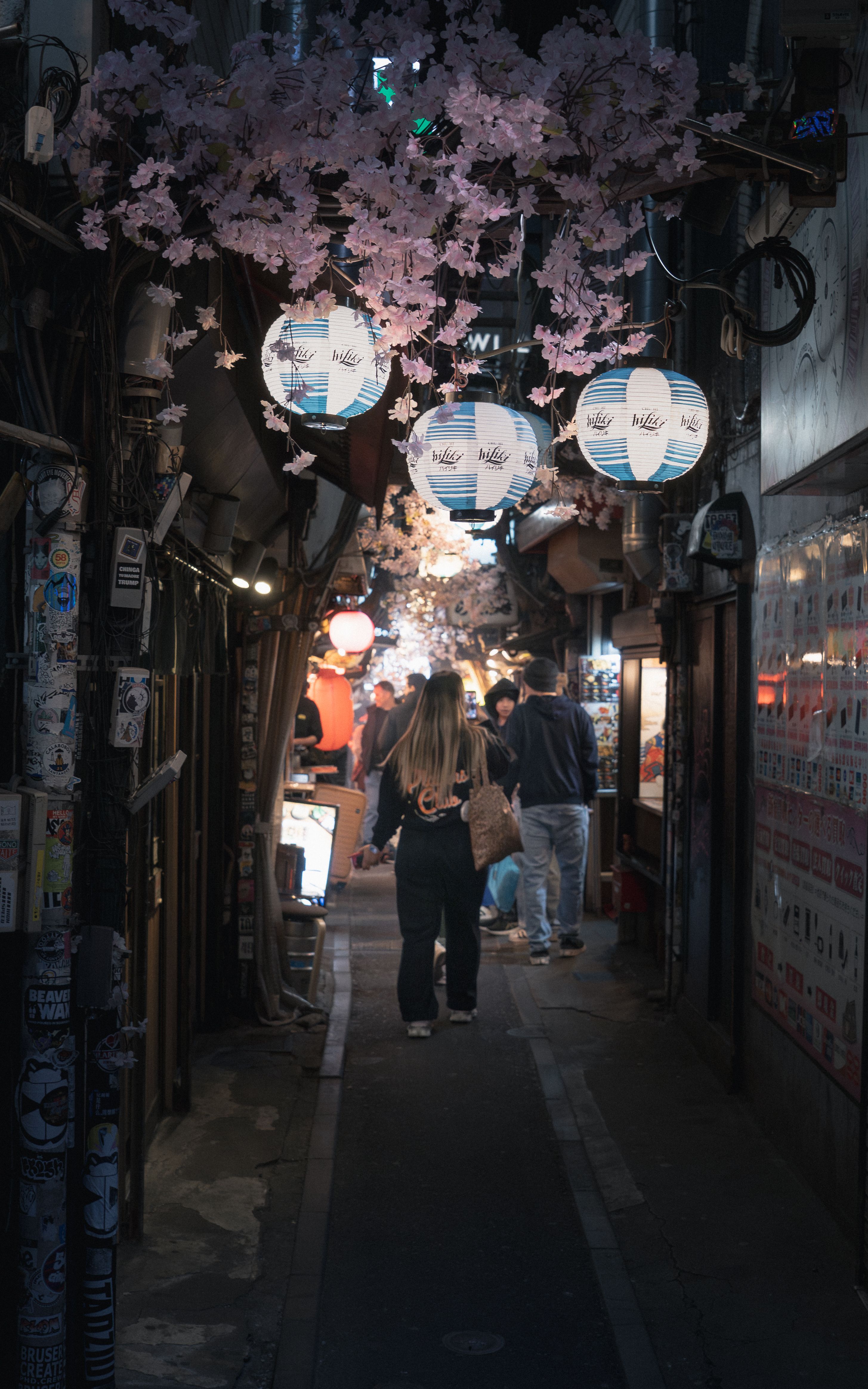 Piss Alley - Omoide Yokocho