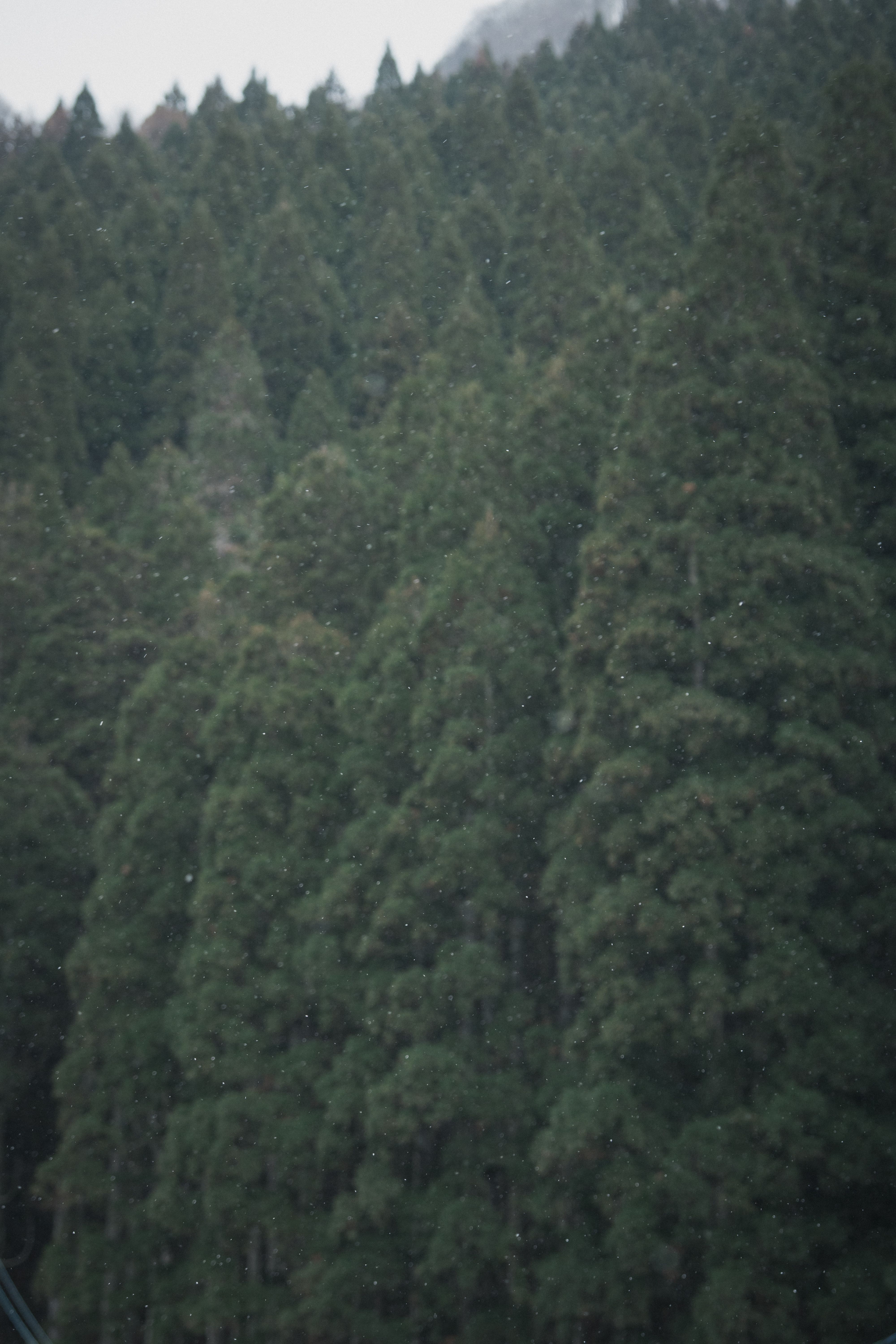 Approaching Jigokudani
