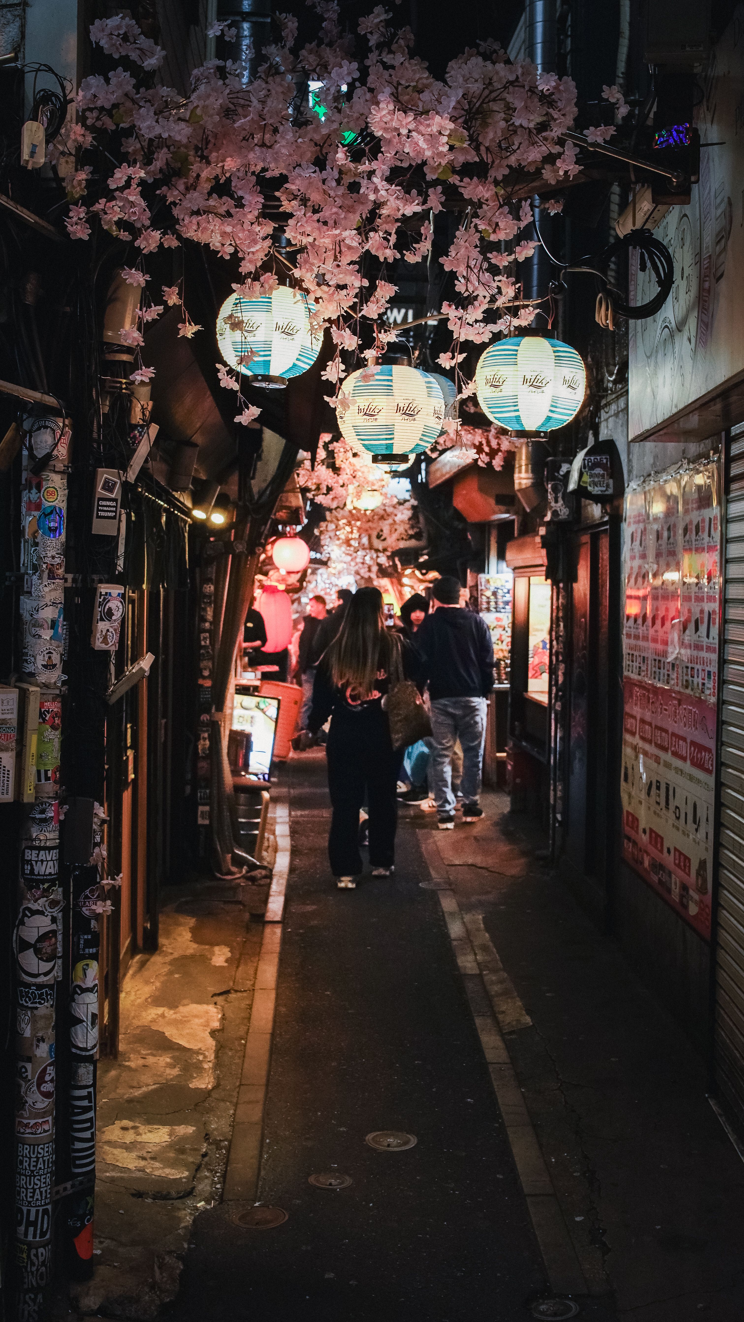 Piss Alley - Omoide Yokocho
