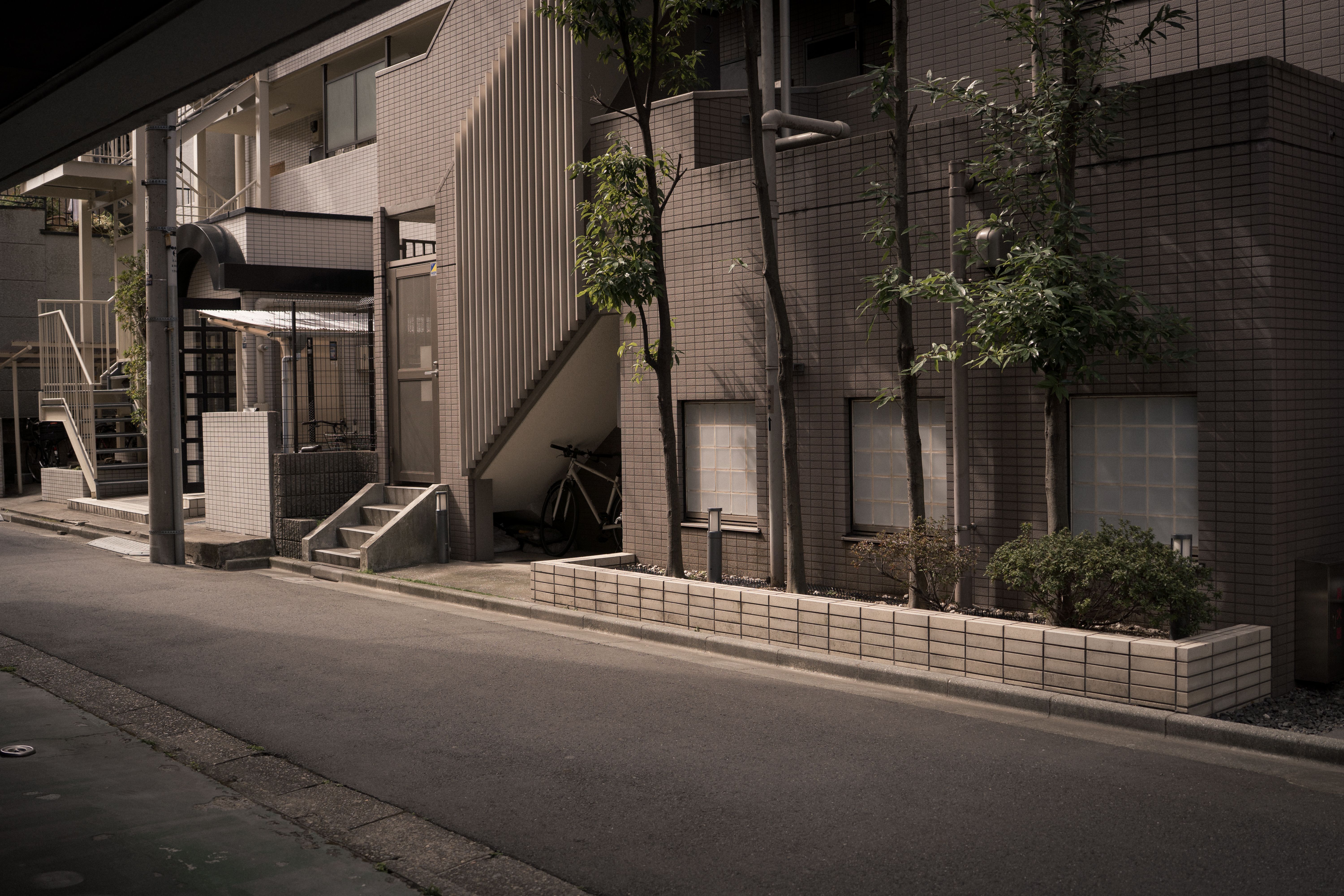 A quiet street where nothing feels rushed