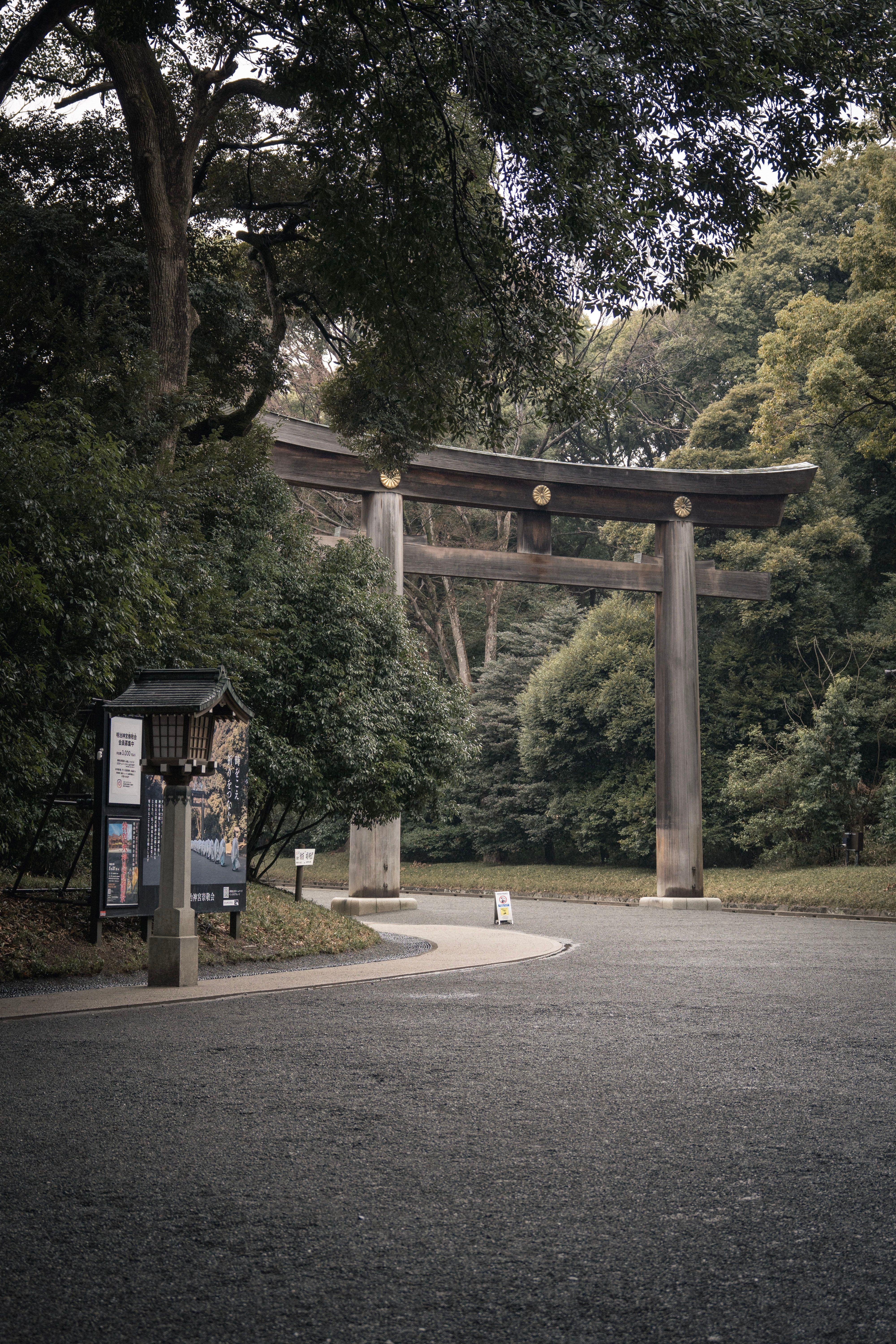 Stepping into a quieter side of Tokyo