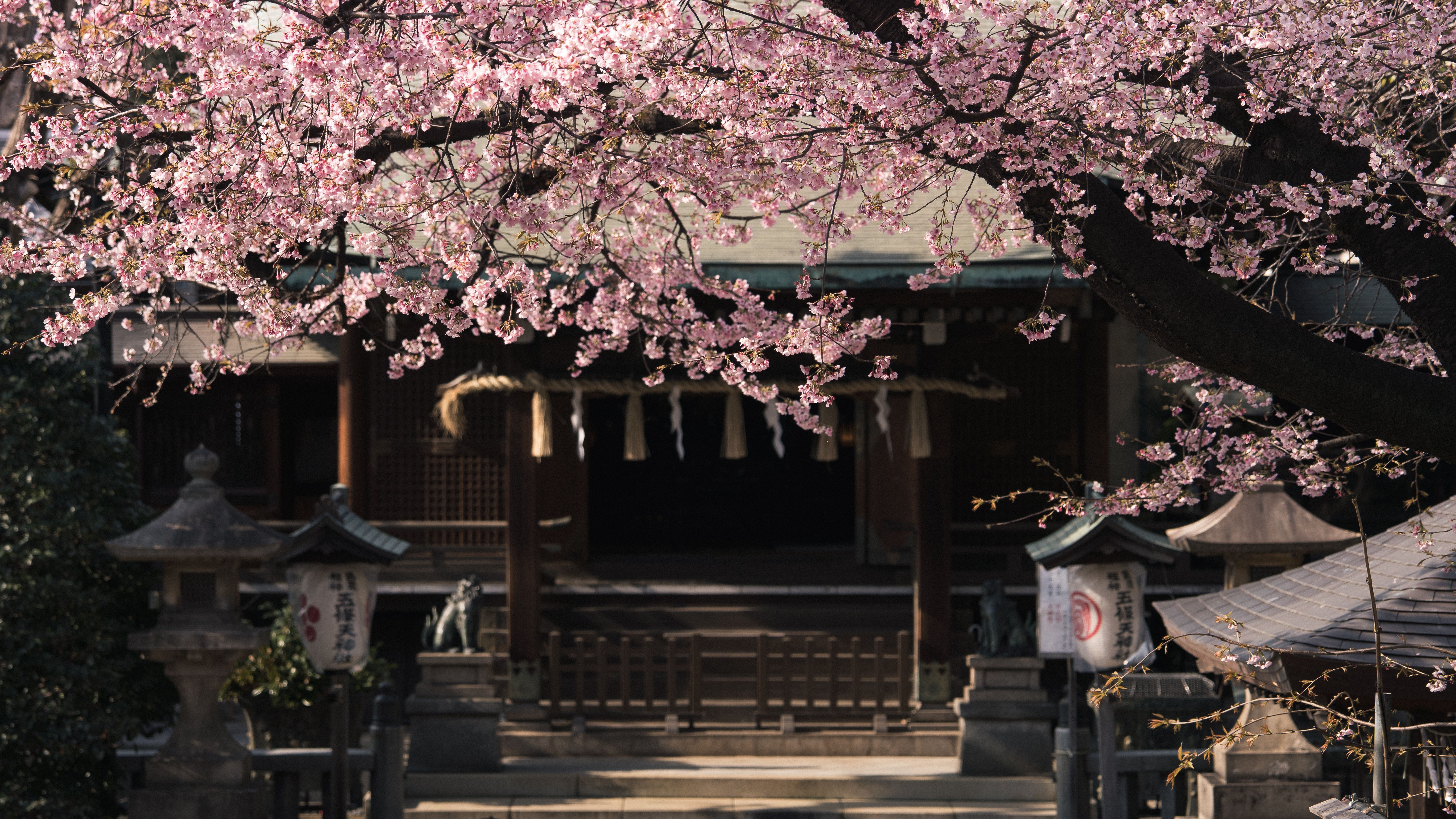 Gojōten Shrine — Ueno Park