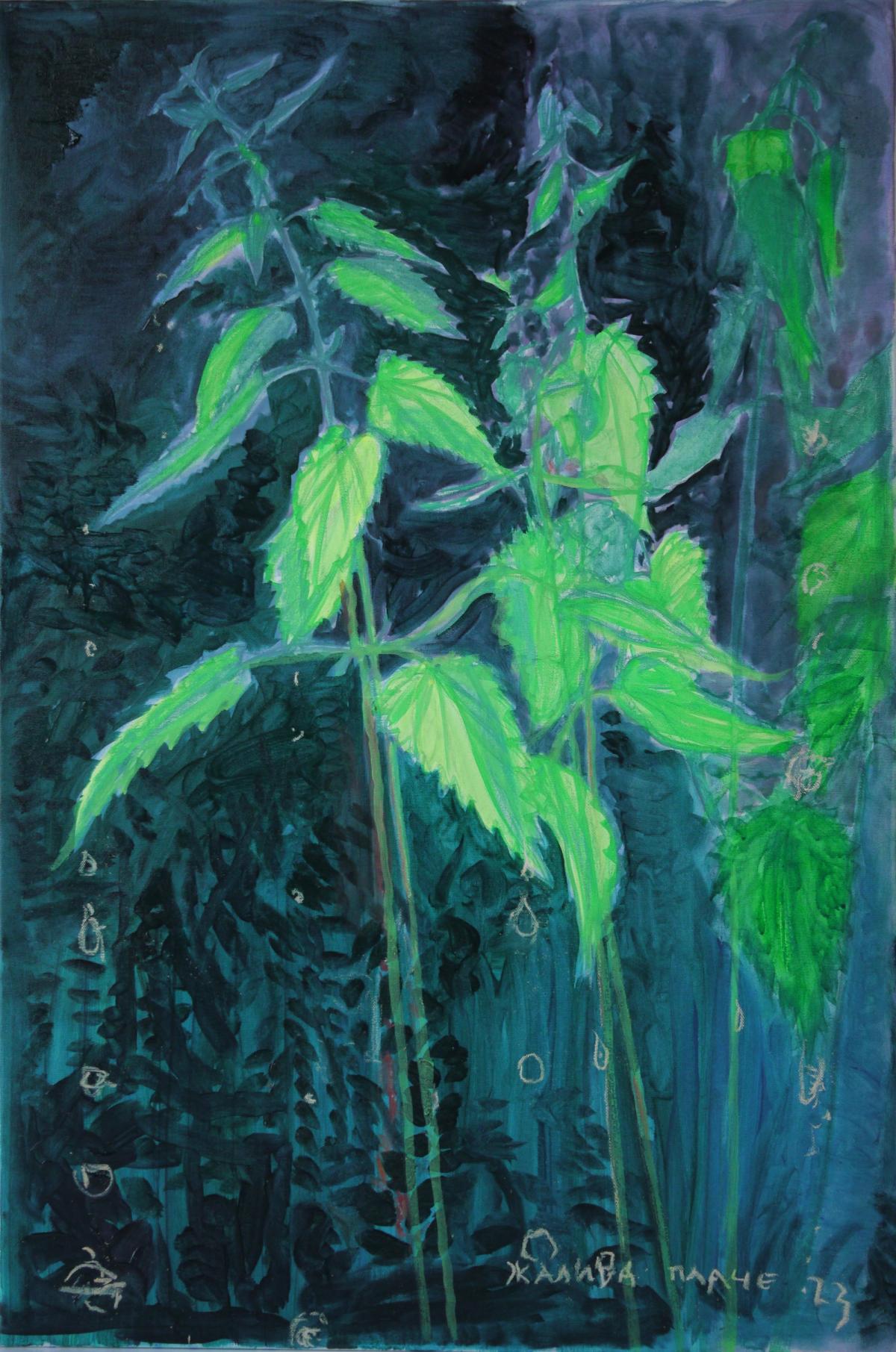 Nettle #5