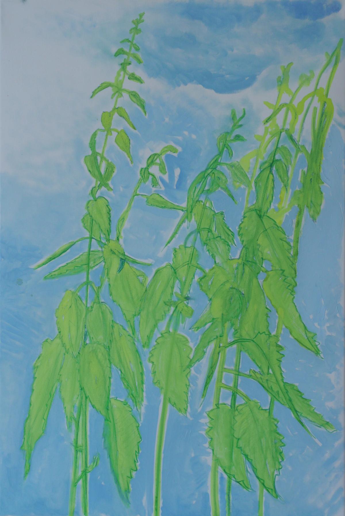 Nettle #1