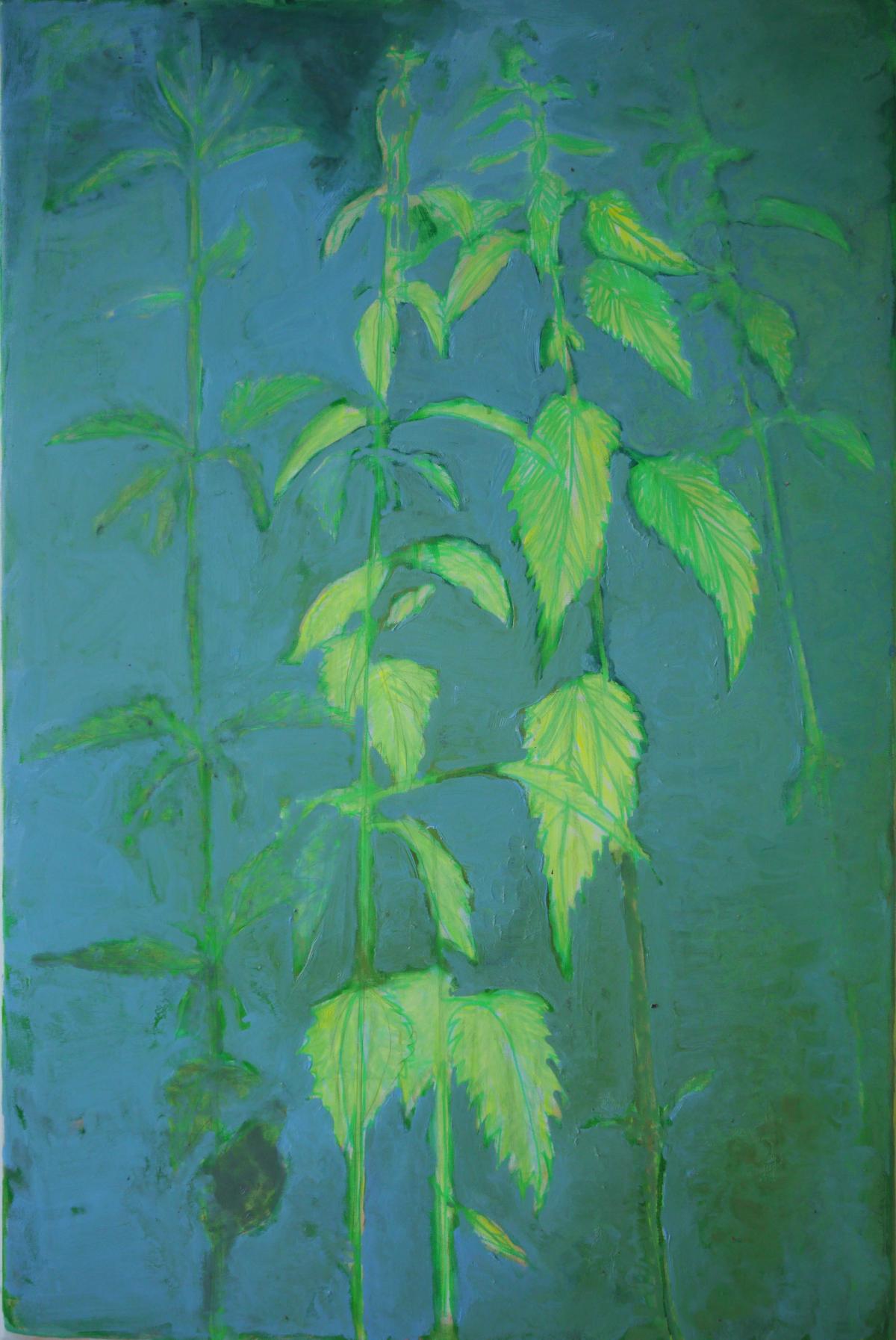 Nettle #3