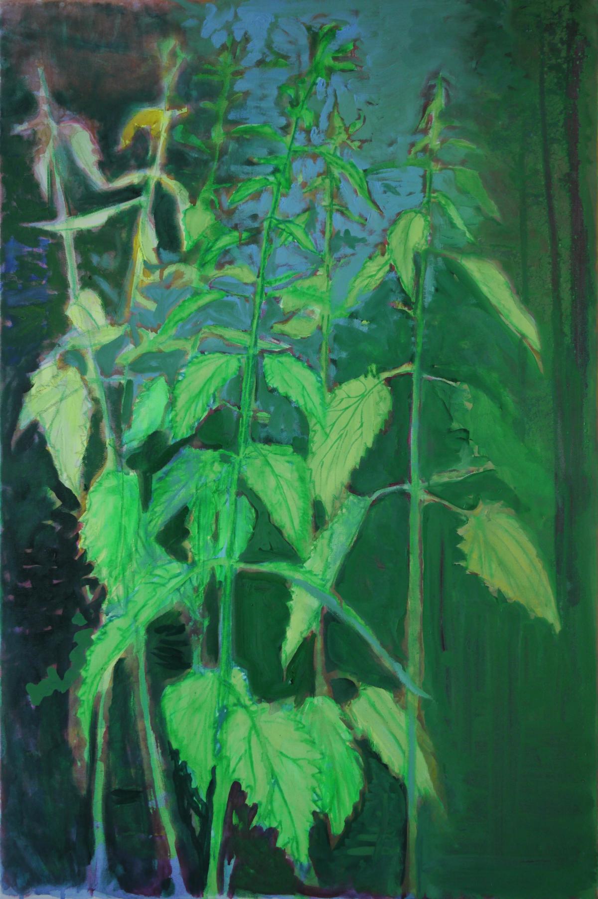 Nettle #4