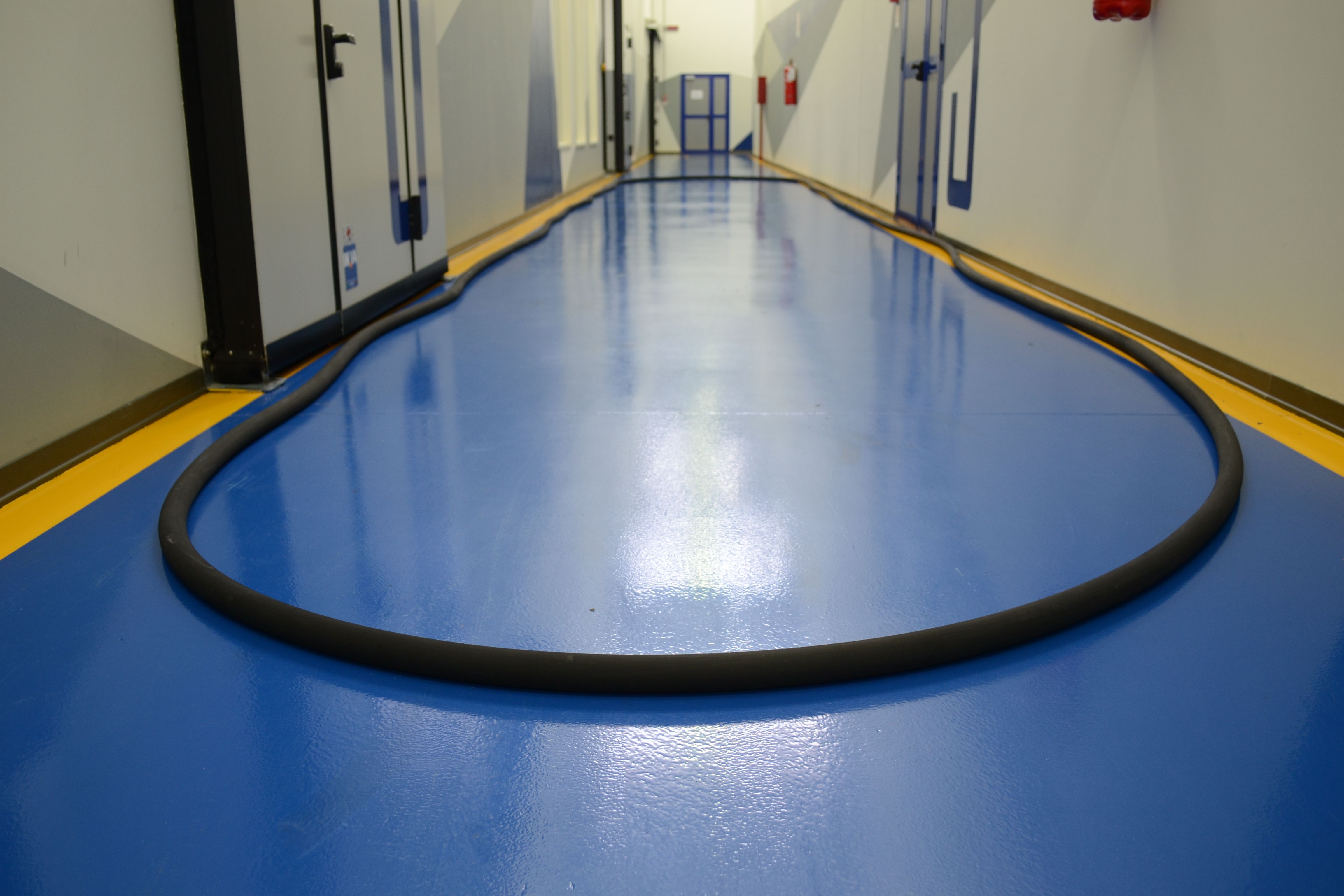 Grande O-Ring OringOne