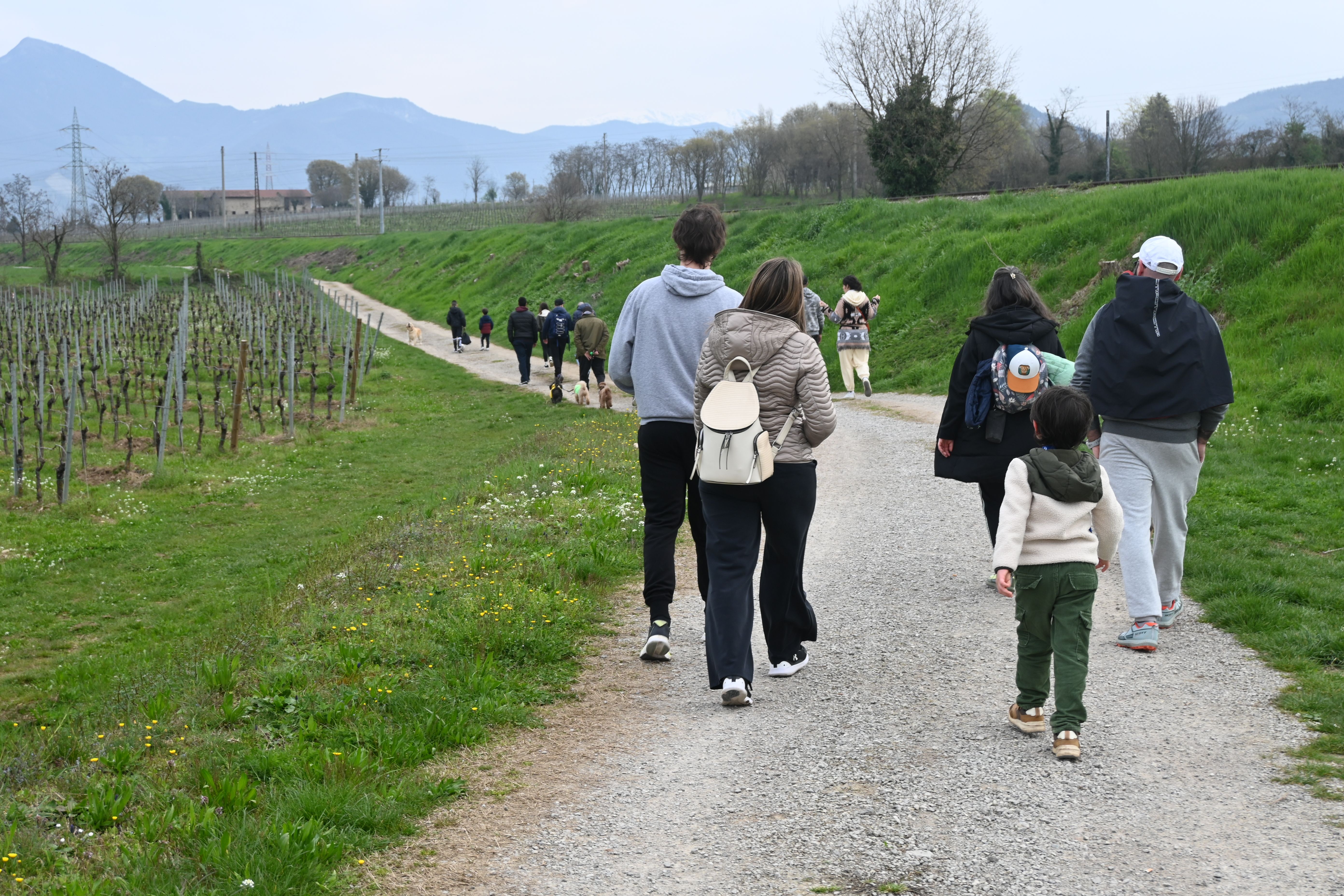 Spring Walk Oringone