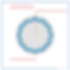 Oringone - news