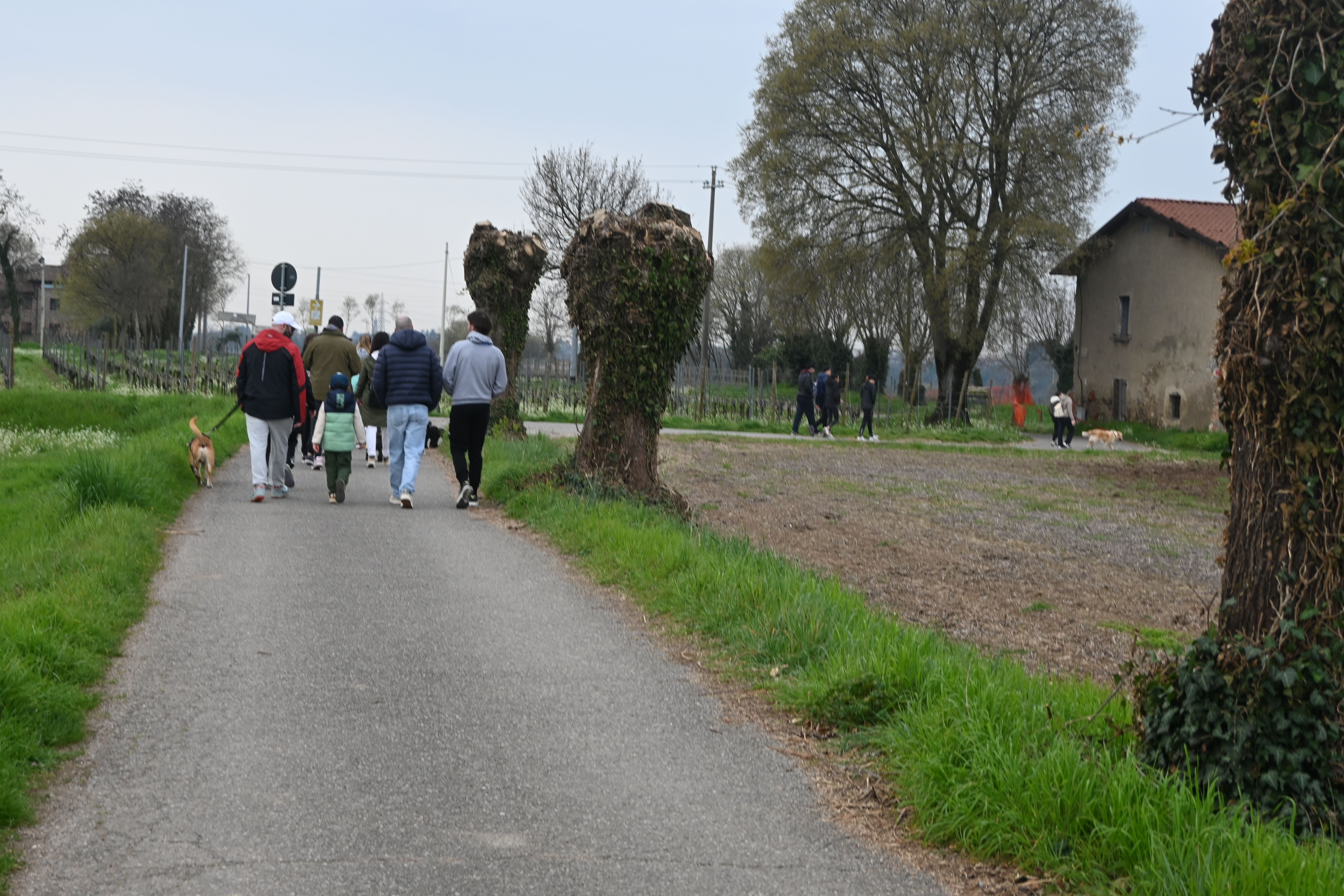 Spring Walk 2026 Oringone