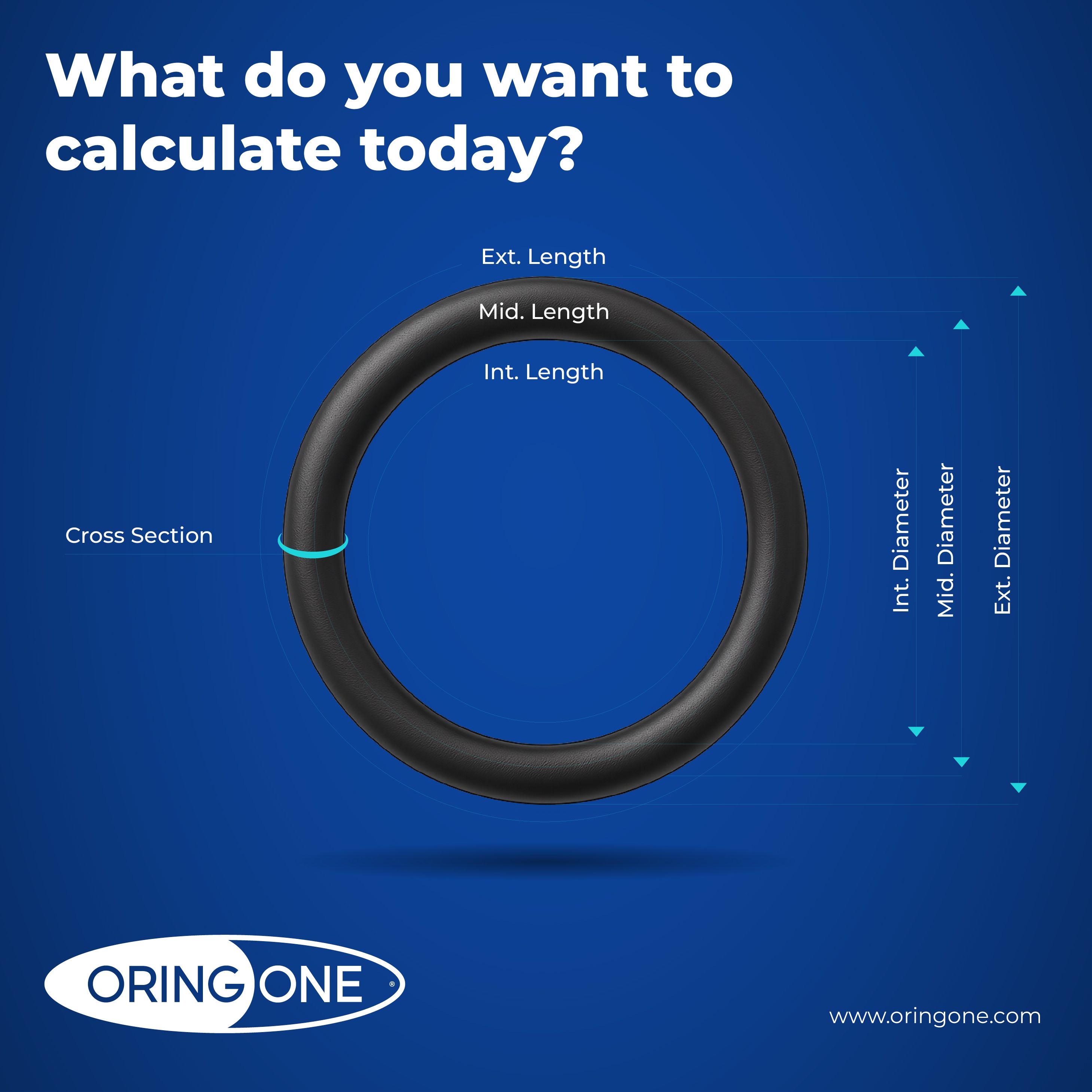 Calcolatore O-Ring di OringOne