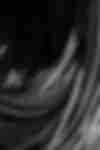 Oringone - News