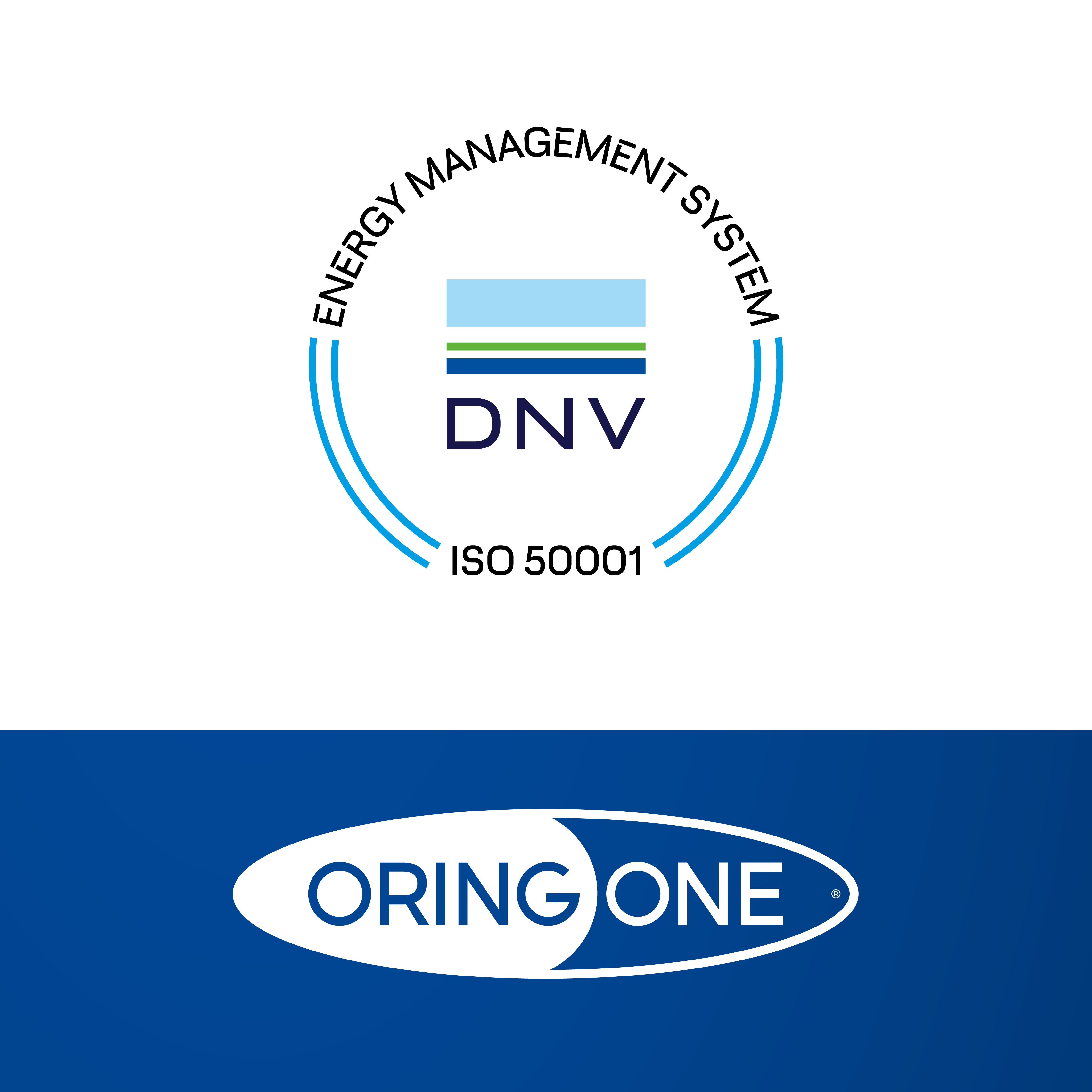ISO 50001 OringOne