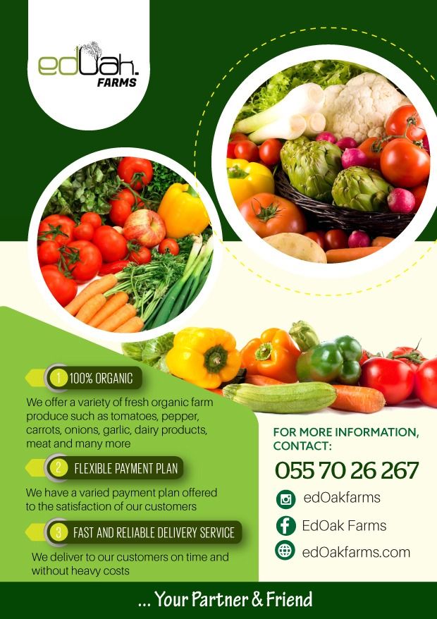 Flyers Designs image 2