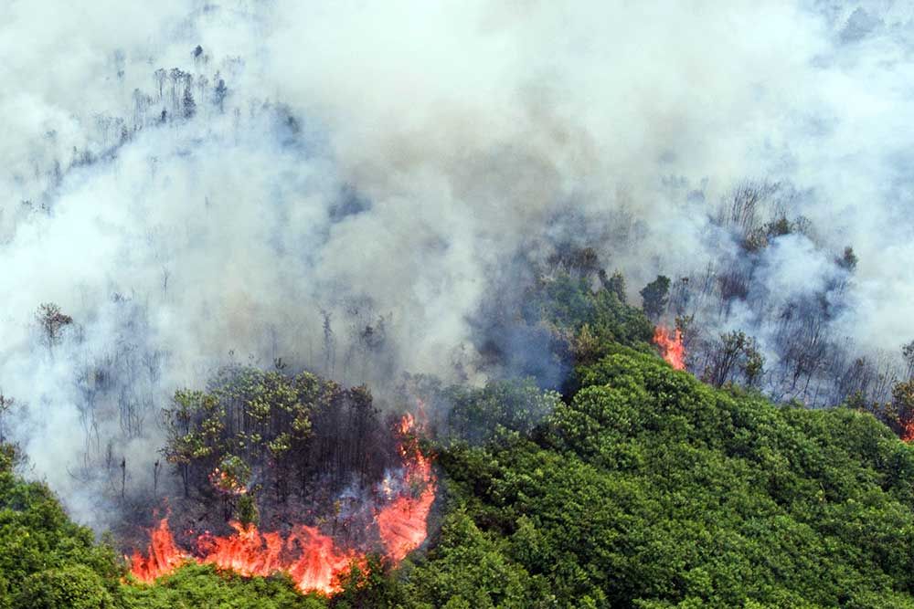Kebakaran Hutan dan Lahan Indonesia 2026