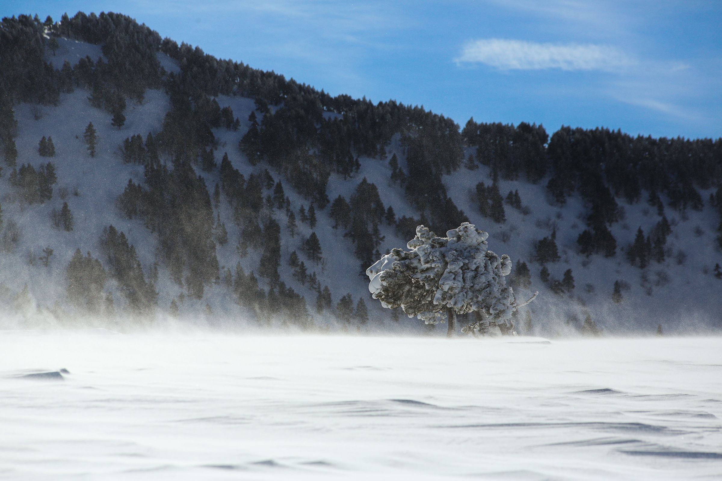 Mountains