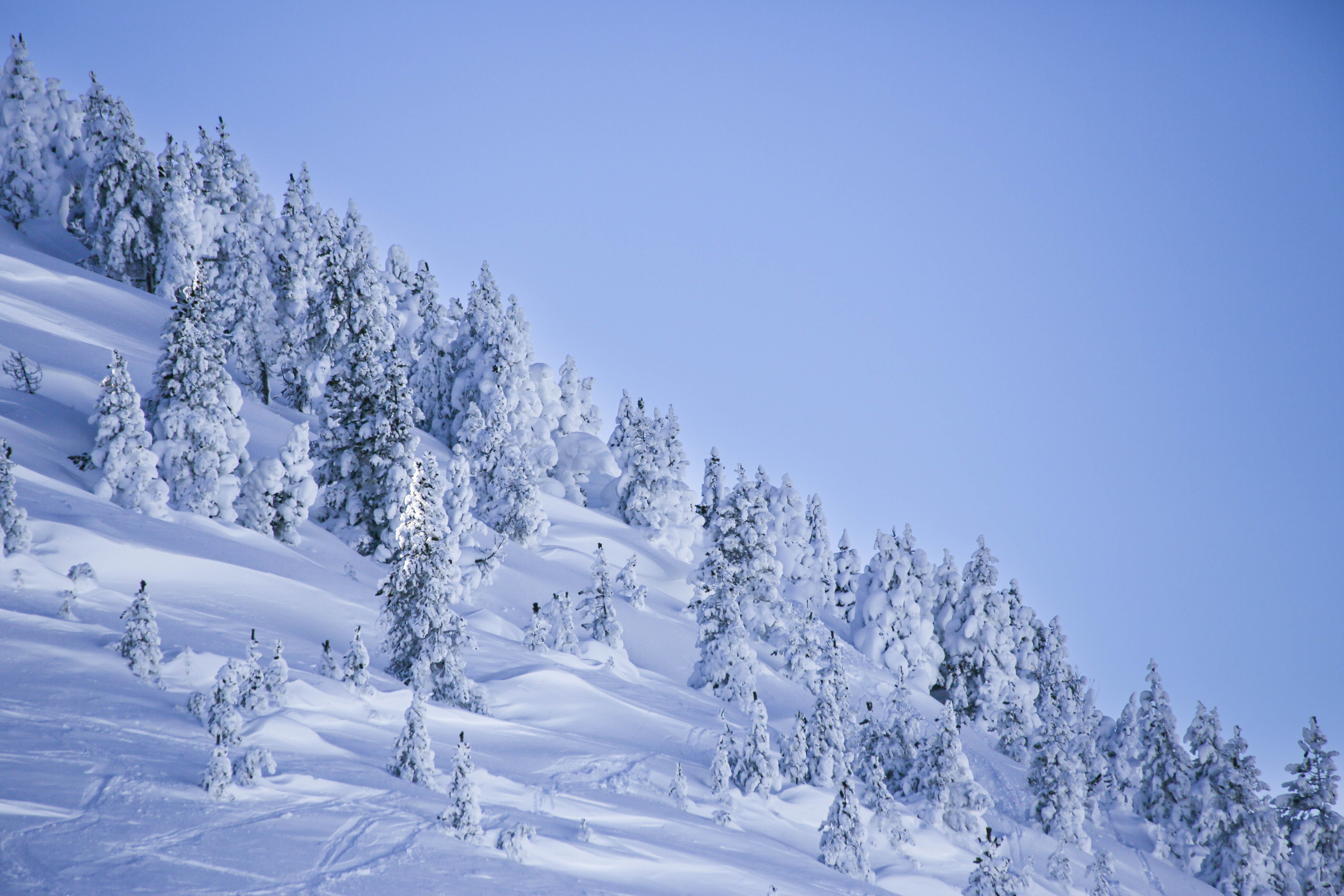 Mountains