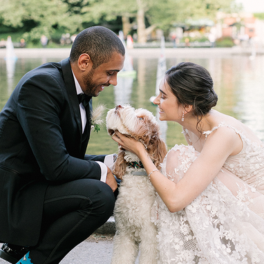 Black Shawl Lapel Tuxedo - Image by FALSE