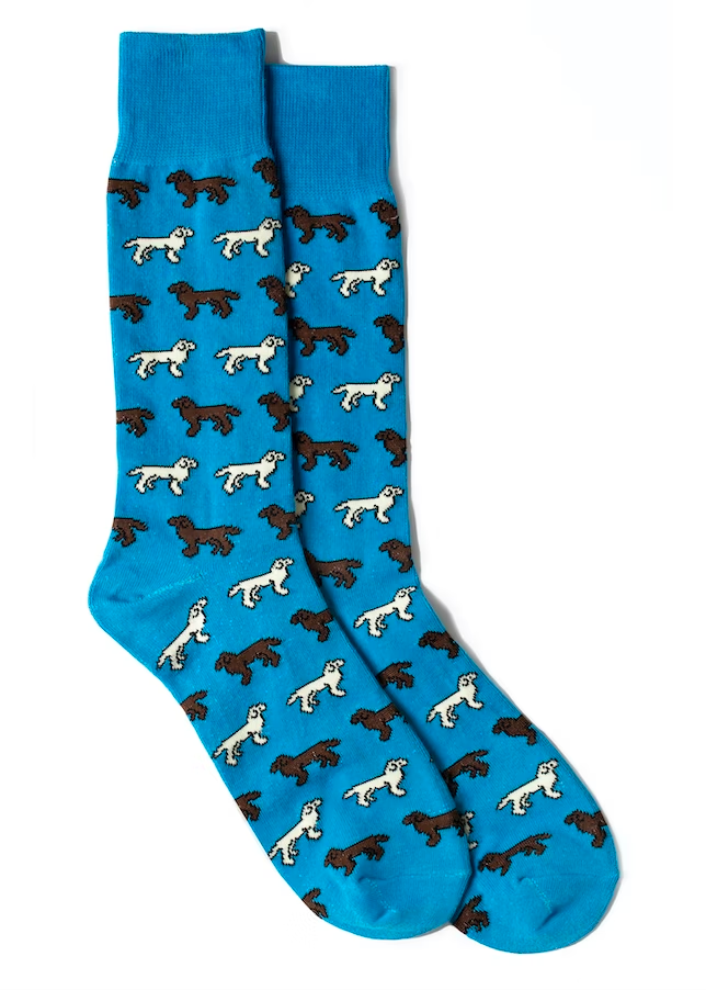 Blue socks with dogs on them