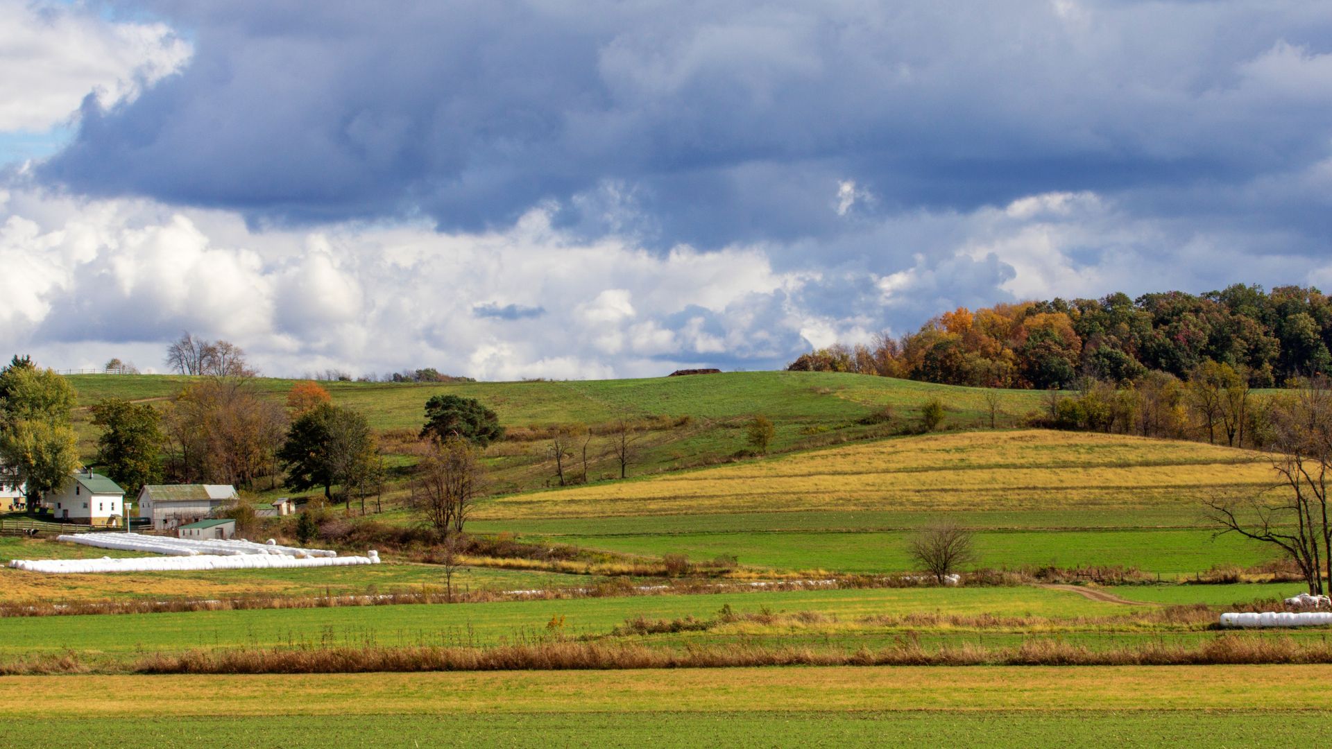 Countryside in Arkon, OH