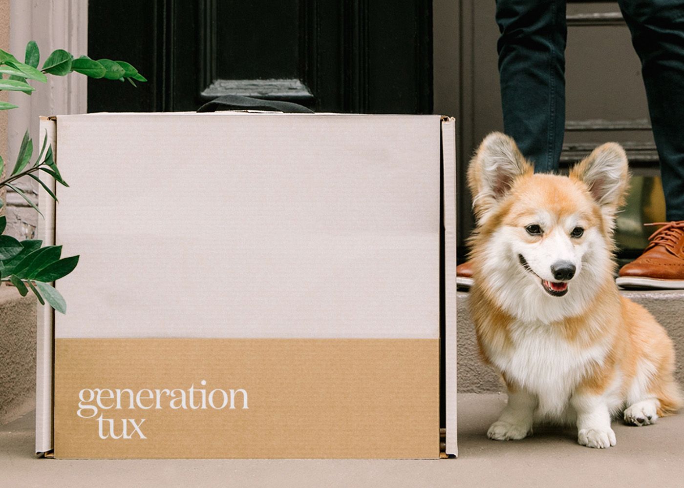 A generation tux box and a corgi 