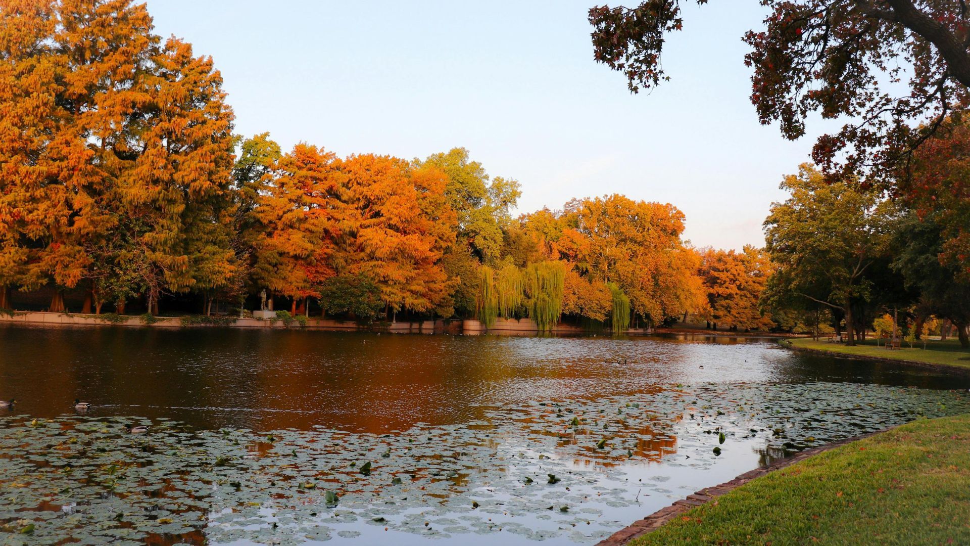 Lake in Pearland, TX