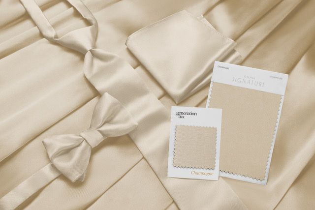 David's Bridal and Generation Tux Champagne swatches, accessories and dress