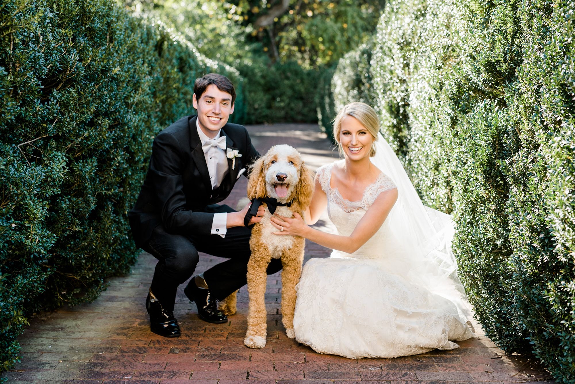 photo of a groom in a black tuxedo and bride outside crouching and smiling next to a poodle