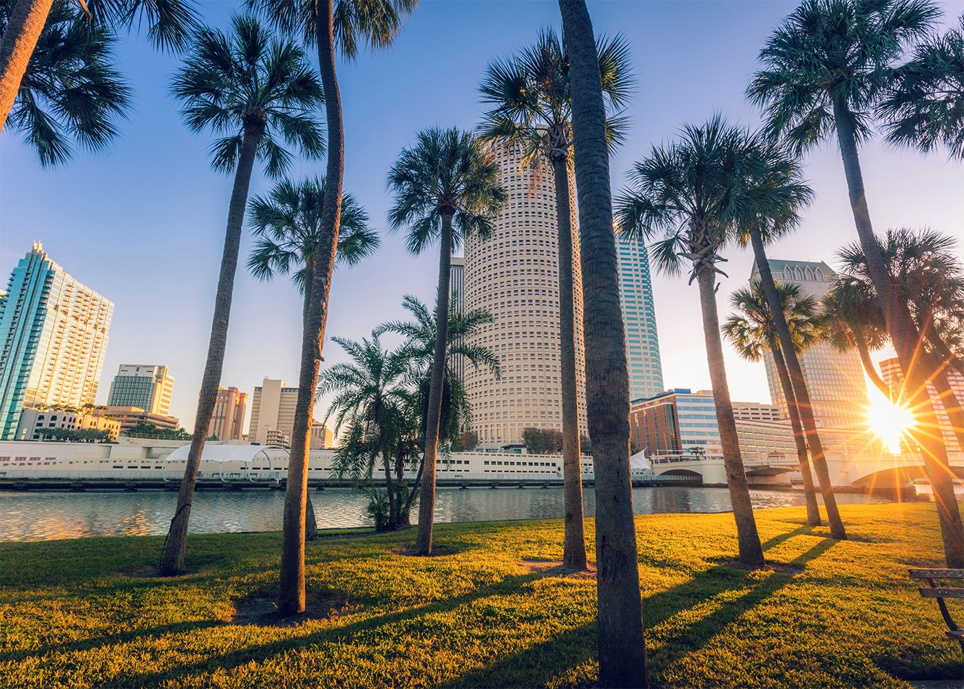 Palm trees in front of the Tampa, Florida skyline