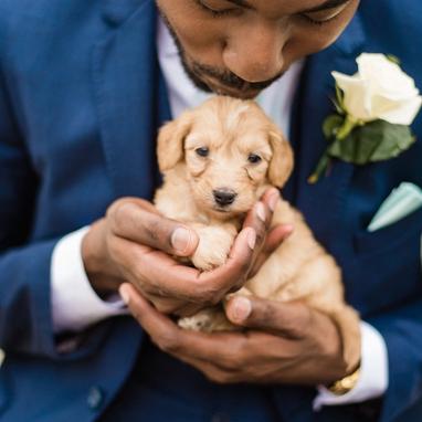 Navy Blue Suit - Image by Odessa James Photography