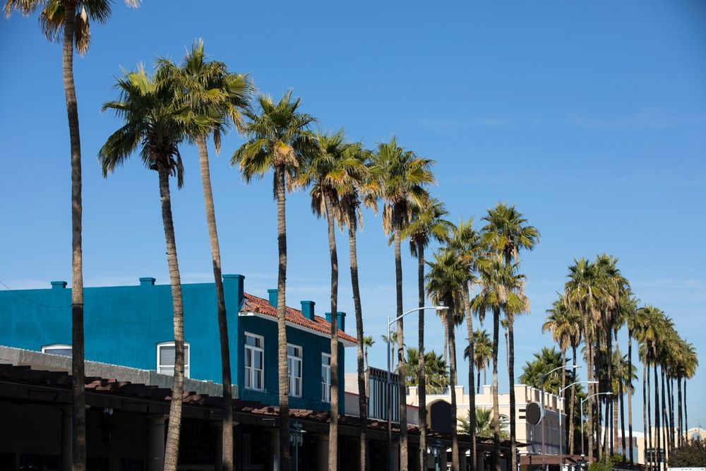 Palm framed afternoon view of historic downtown Chandler, Arizona