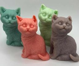 Cat Soap — view 4
